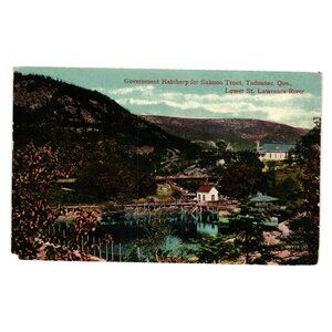 Government Hatchery Salmon Trout Postcard Quebec Lower St Lawrence River Vintage